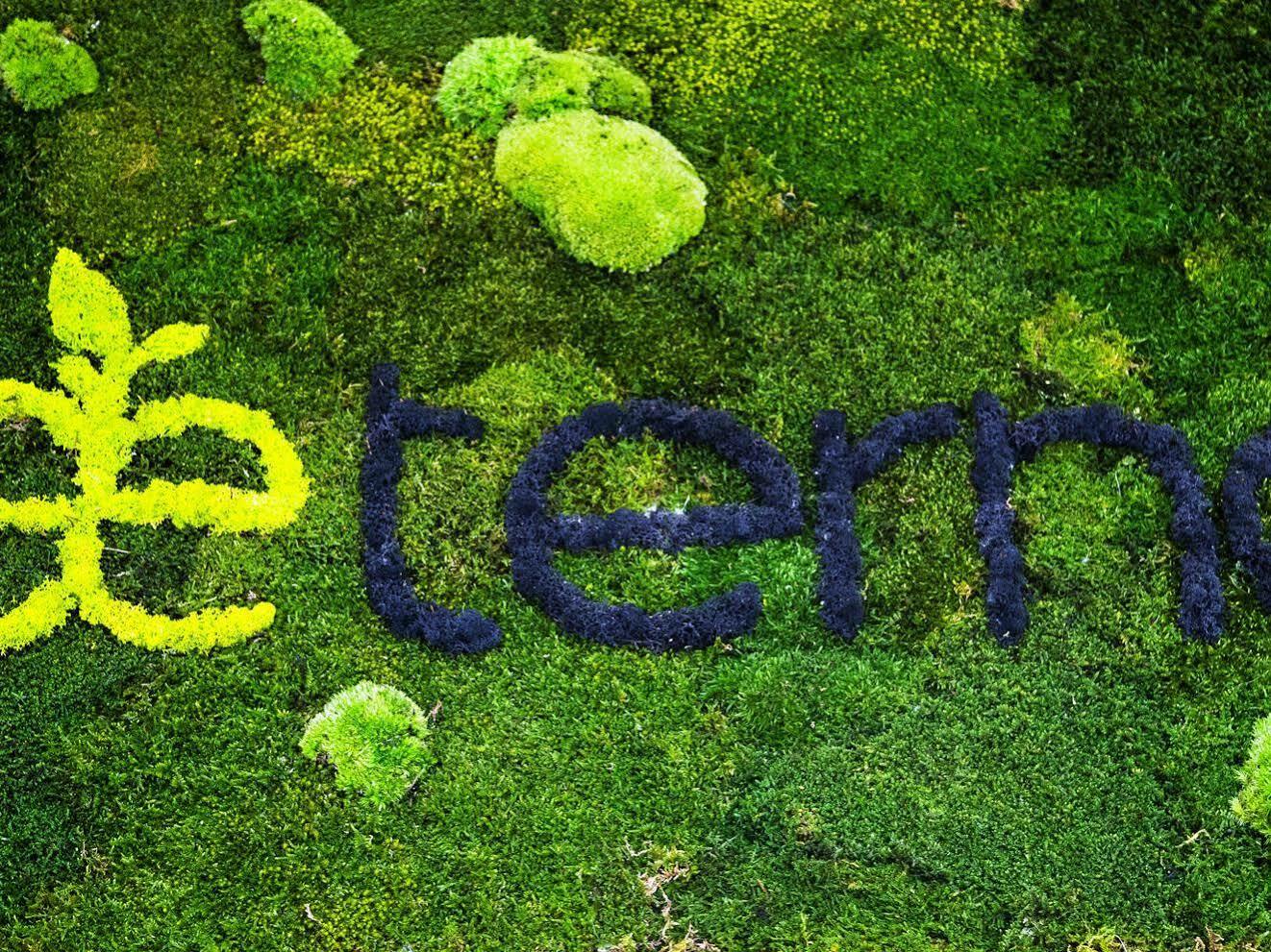 Aeterno Eco Guest House Roma Eksteriør bilde